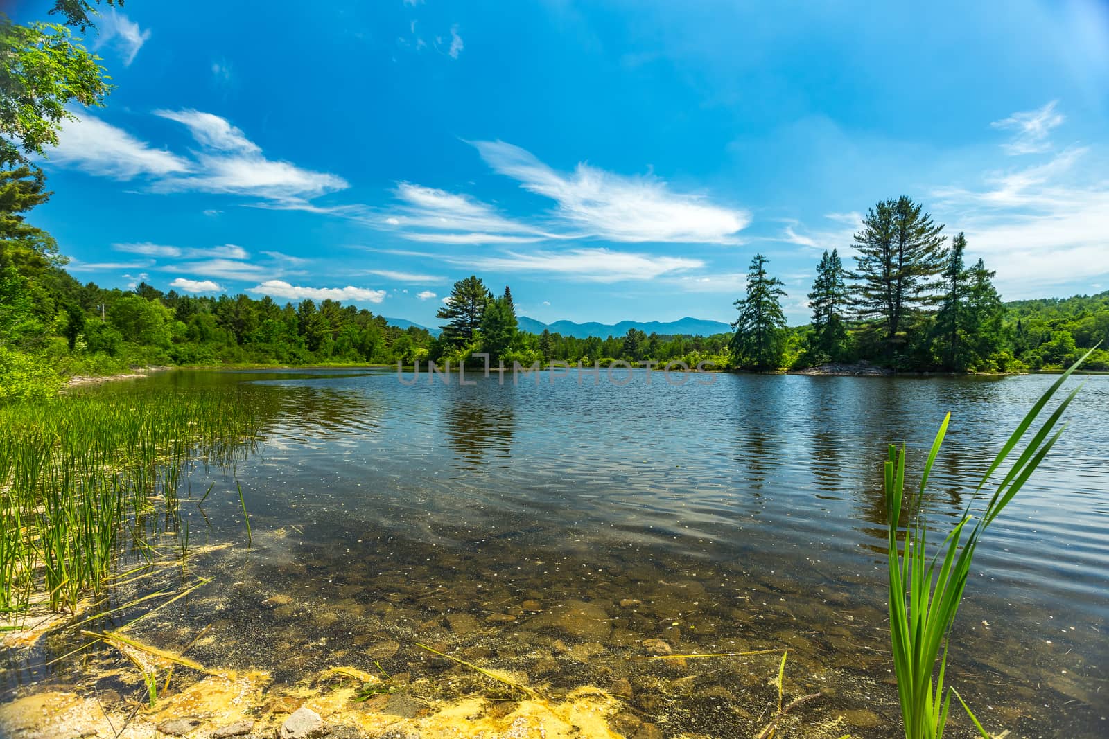 A low angle view of Coffin Pond in New Hampshire with the White Mountain Range in the background.