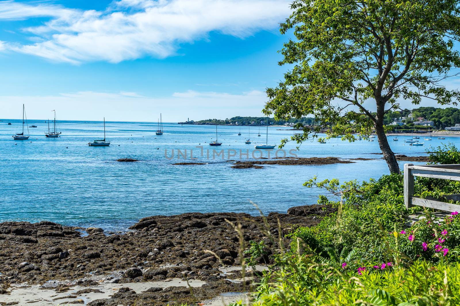 Looking across Simonton Cove from the Southern Maine Community College Campus in South Portland. Portland Head Light is in the distance.