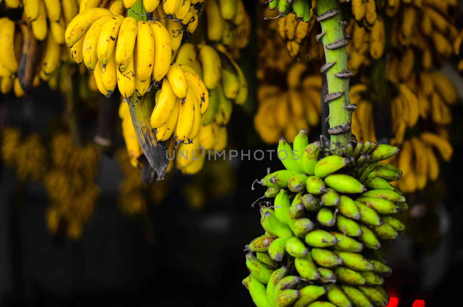 Green and yellow bananas in the asian market. Fruit selling in Malaysia 