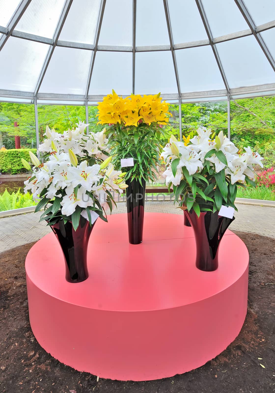 Yellow and white lilies in black vases