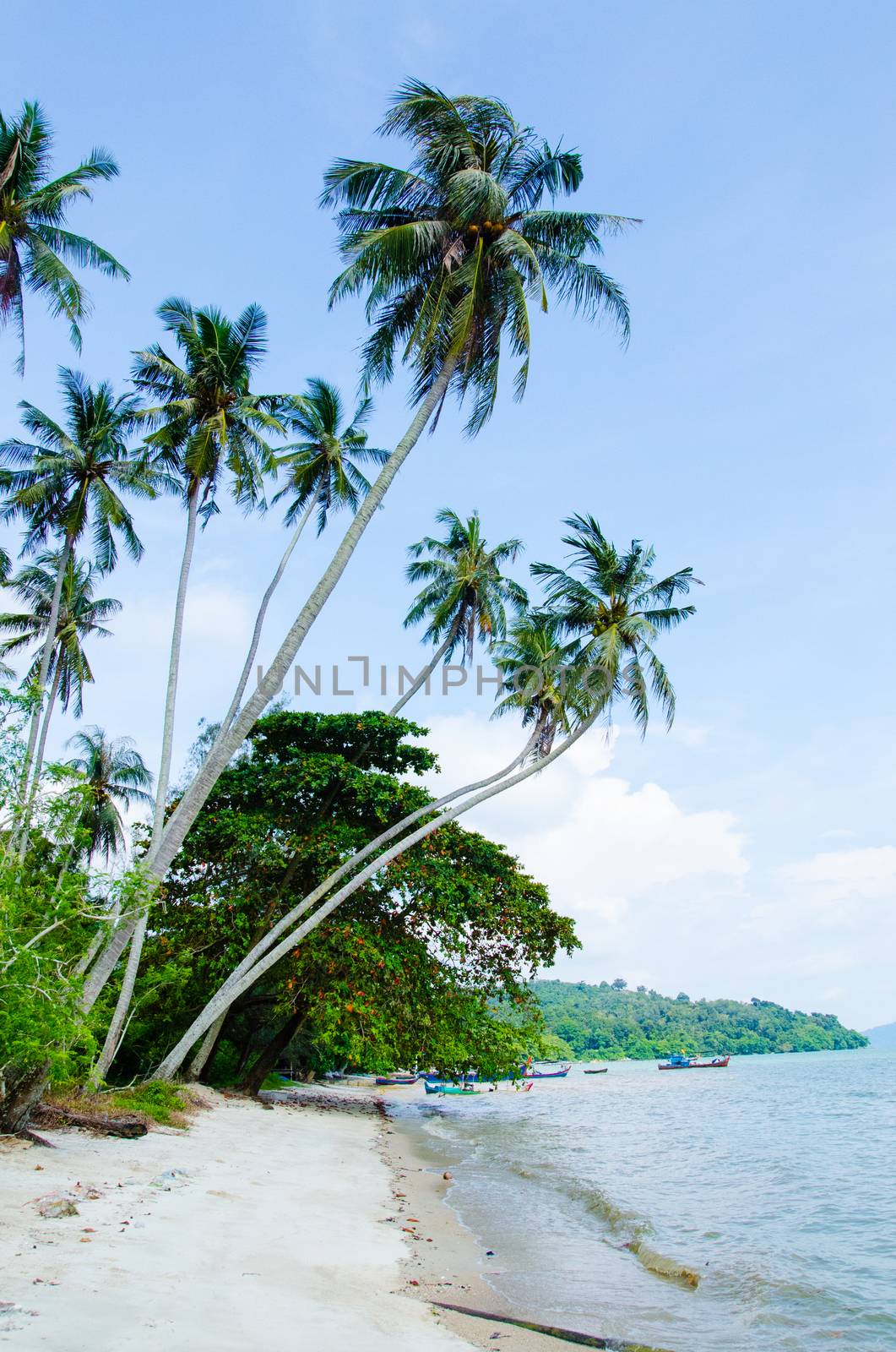 Malaysia tropic beach with crystal clear sea. Perfect background for advertising, travel Company