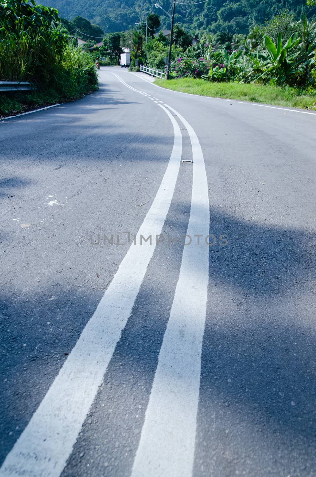 Empty road with reflectors in tropic forest by Vanzyst