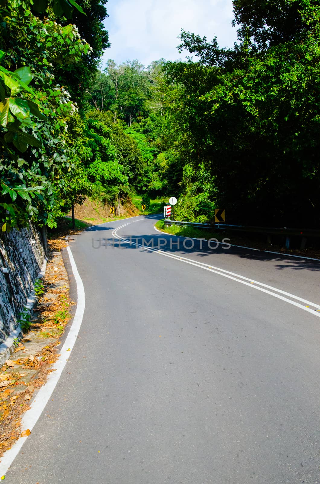 Empty road with reflectors in tropic forest. Penang island Malaysia