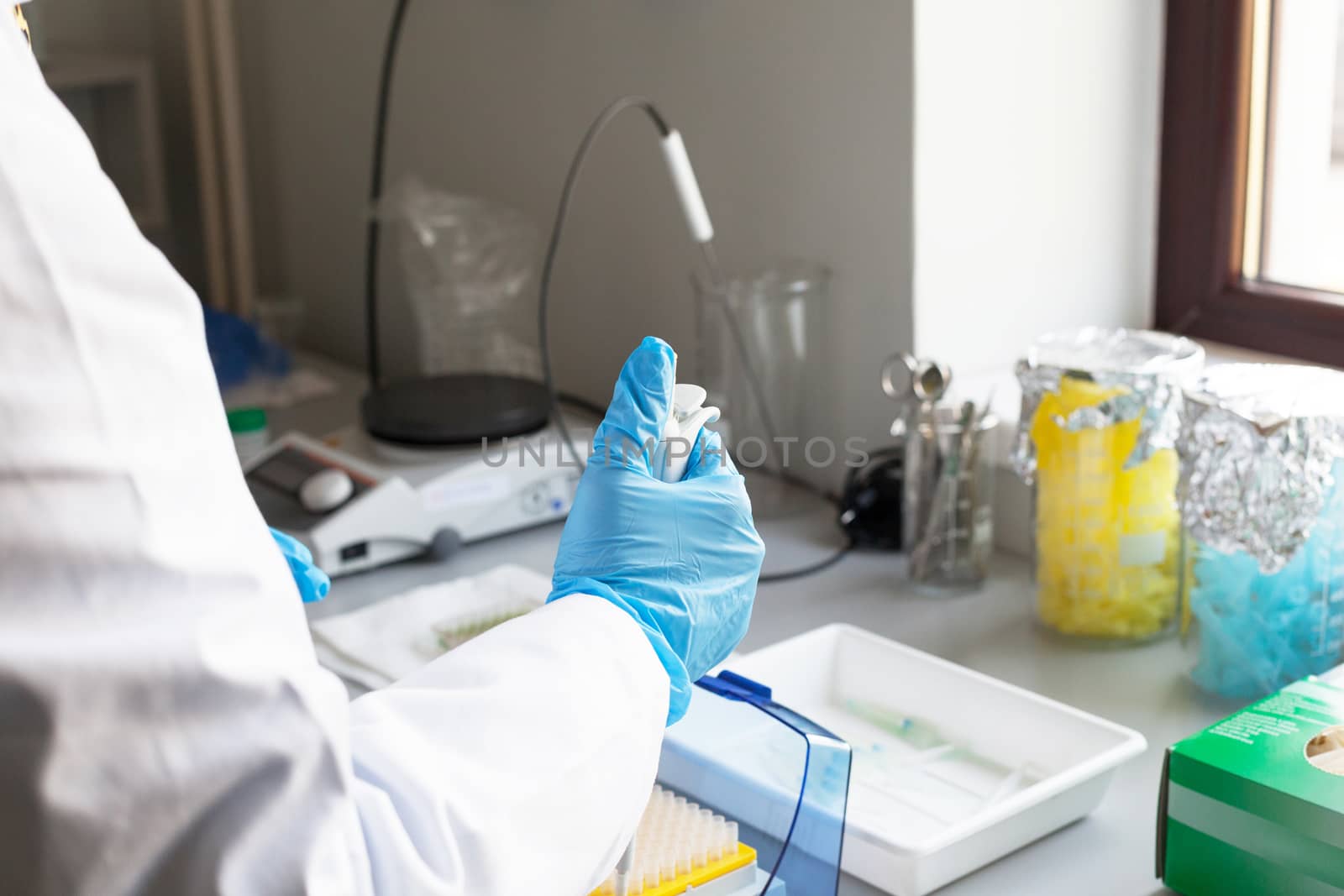 Scientist filling test tubes with pipette in laboratory by wellphoto