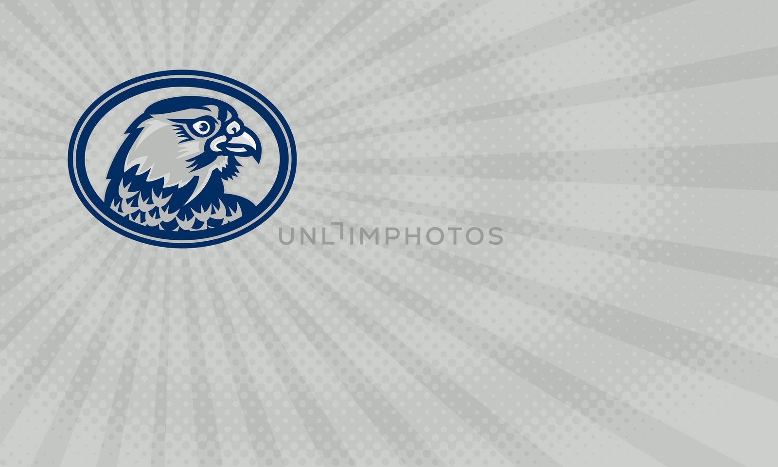 Business card showing Illustration of a falcon hawk eagle bird head looking to side set inside oval on isolated background done in retro style.



