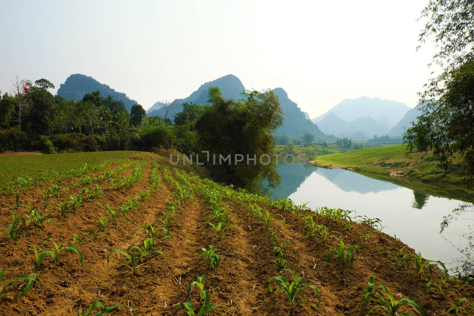 Beautiful countryside of Quang Binh, Viet Nam on day with green agriculture field near river, mountains chain reflect oh water, fresh air, eco green make nice destination when travel to Vietnam