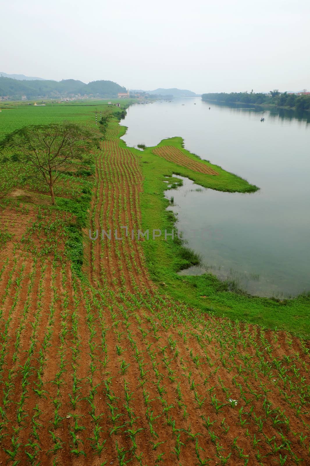 Beautiful countryside of Quang Binh, Viet Nam by xuanhuongho