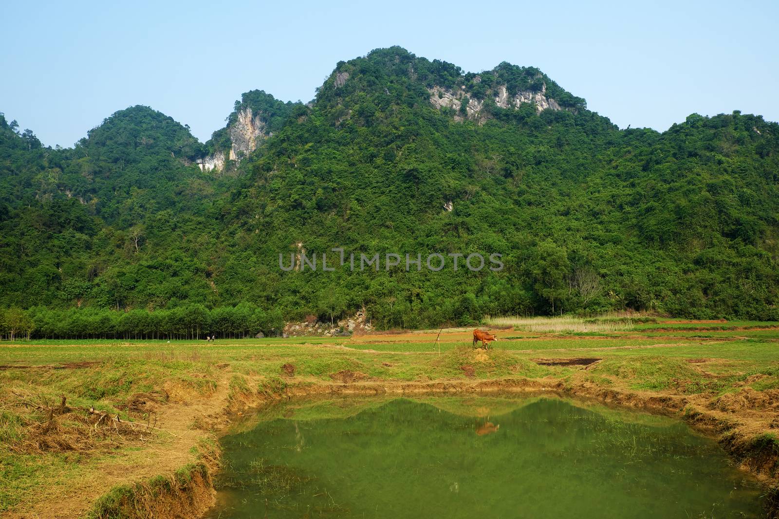 Beautiful countryside of Quang Binh, Viet Nam by xuanhuongho