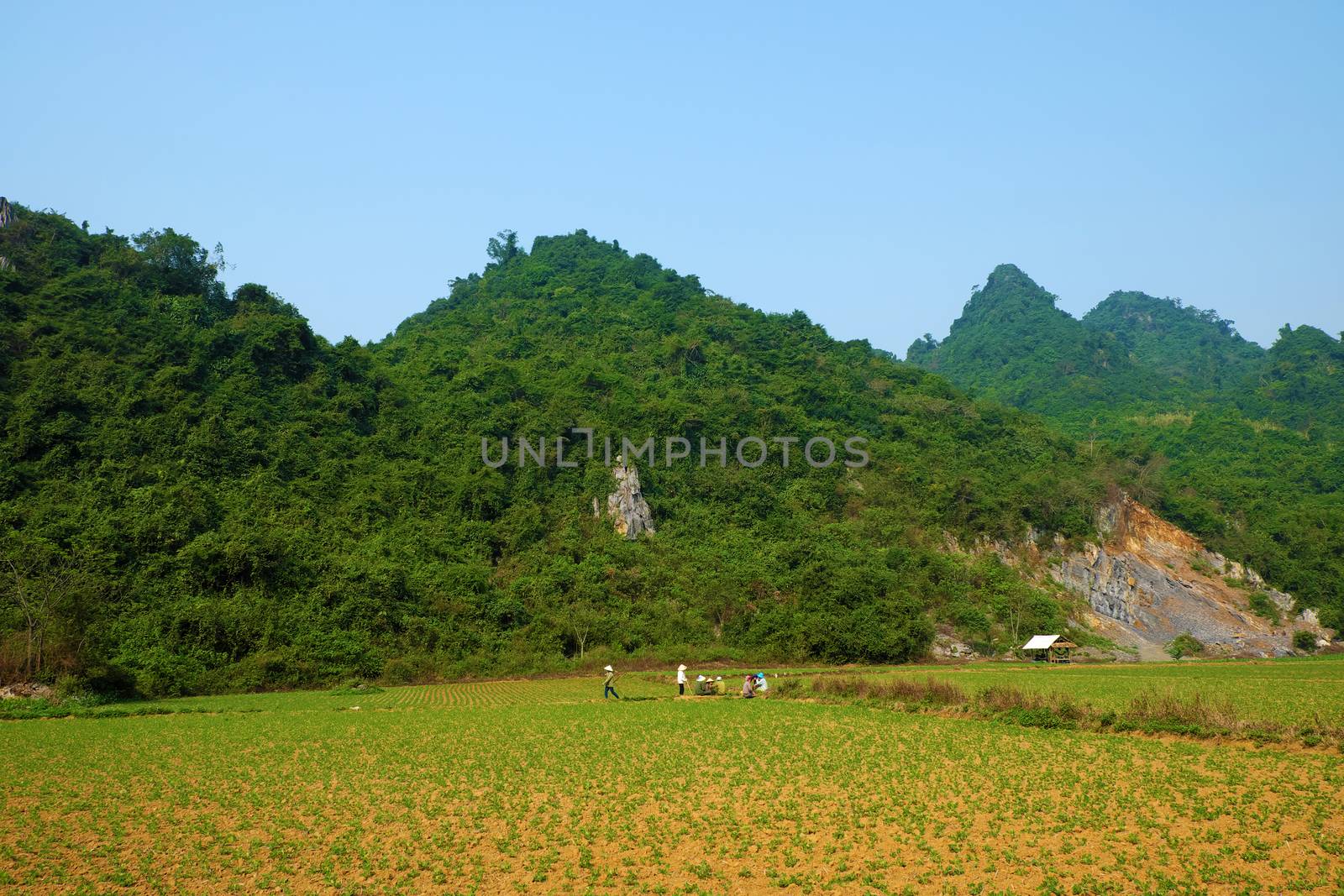 Beautiful countryside of Quang Binh, Viet Nam by xuanhuongho