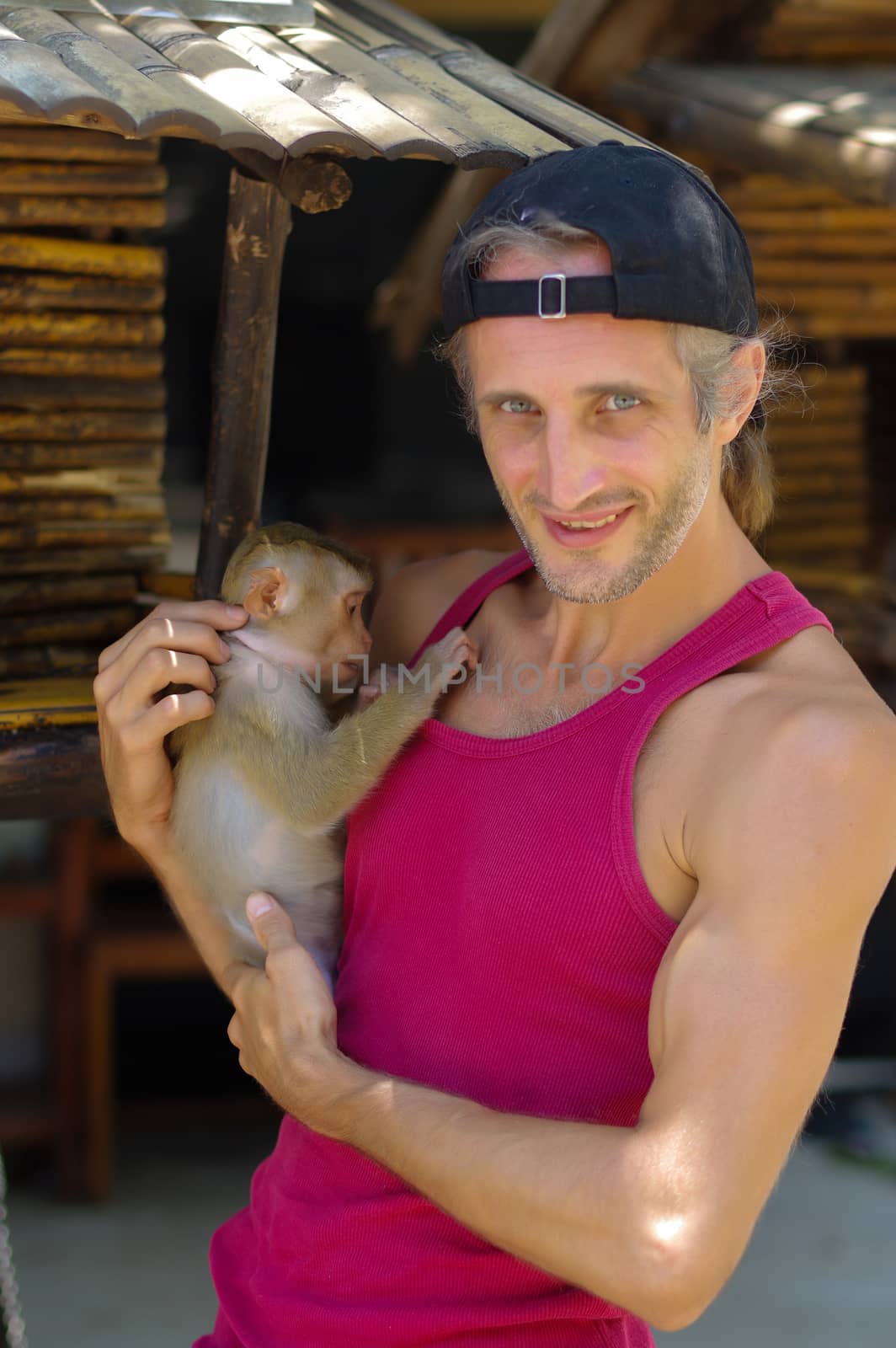 A man holds a young Rhesus Macaque Macaca mulatta on the arm. Thailand