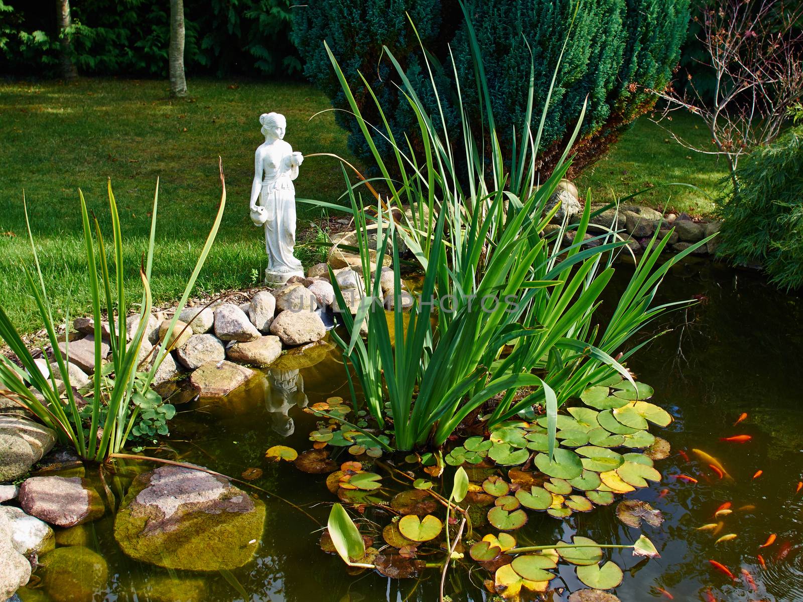 Beautiful classical garden fish pond surrounded by grass gardening background   