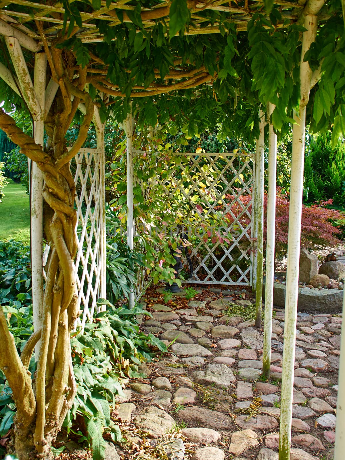  Wooden pergola gazebo in a beautiful blooming garden full of flowers and green plants         