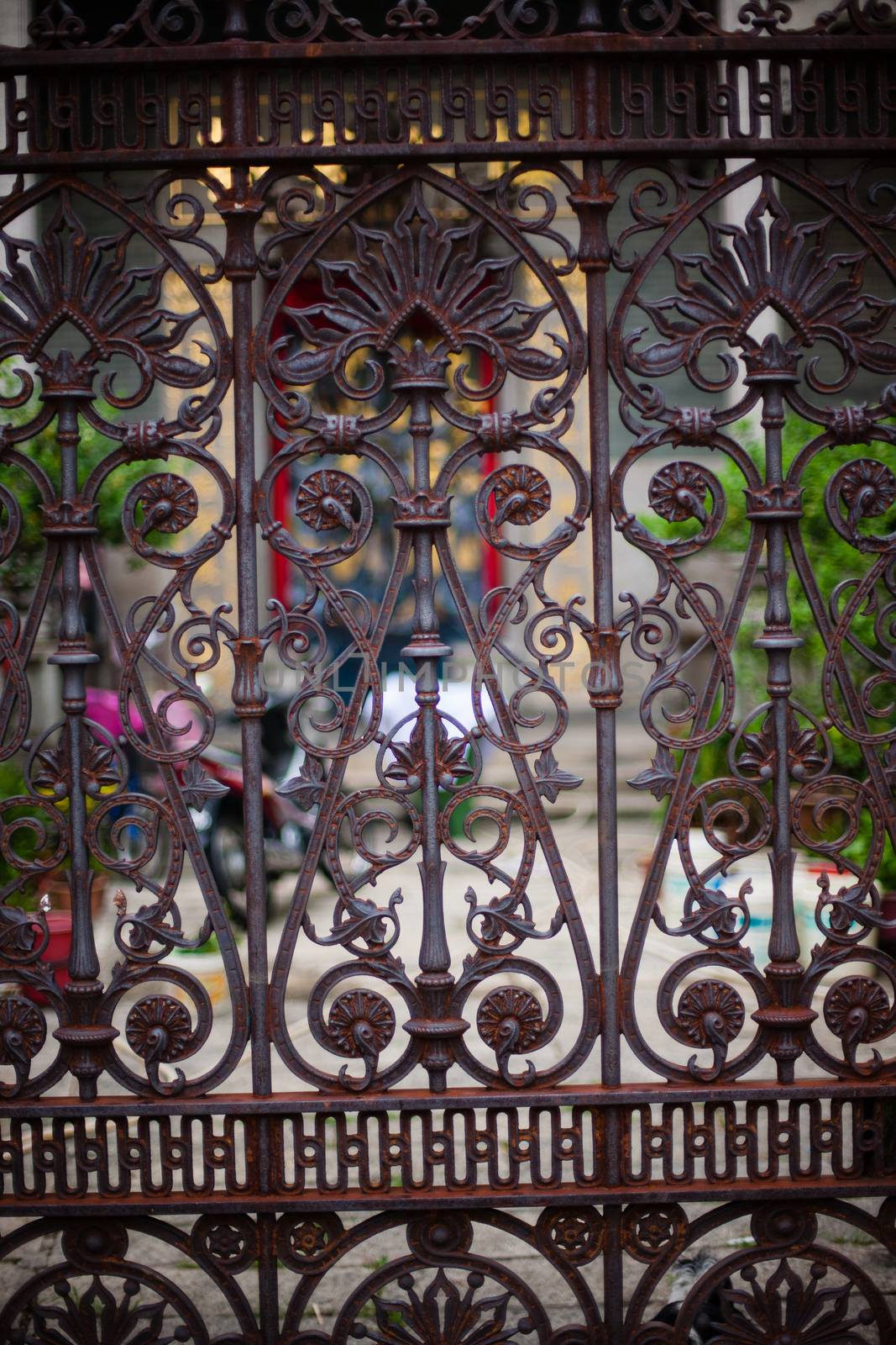 Ornamental classical forged gates with curls, swirl, scroll