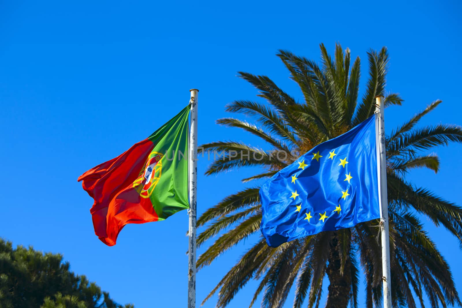 The flag of portugal