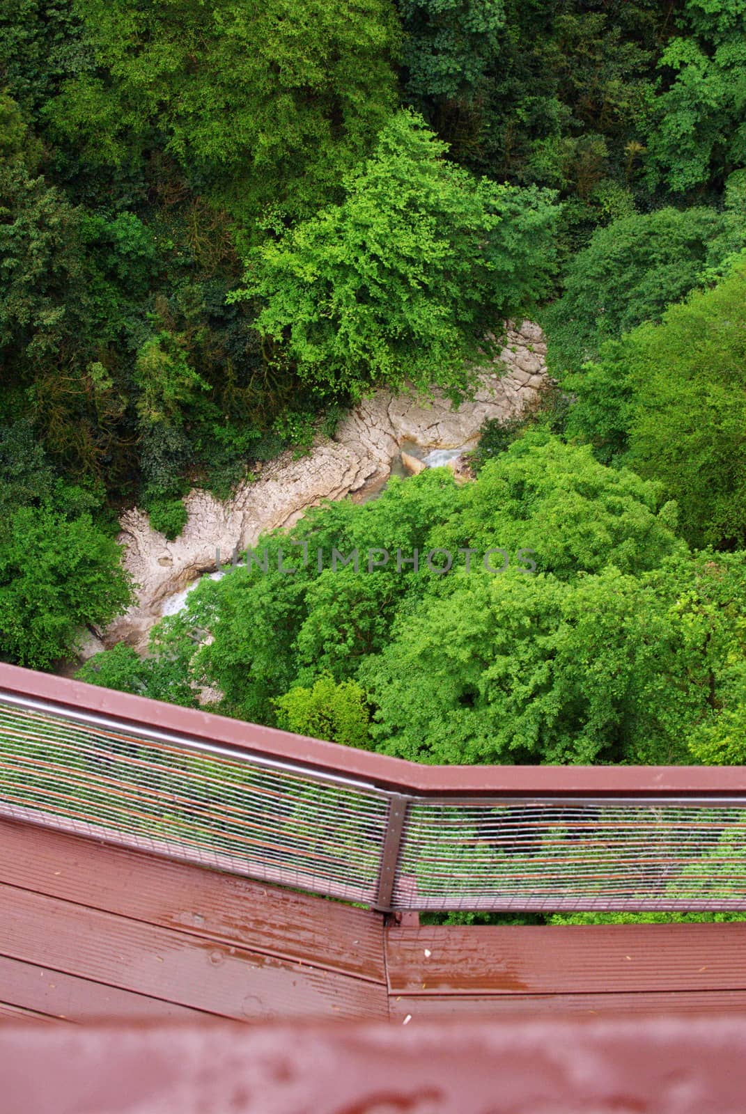 Suspended walkway in Okace canyon, Georgia