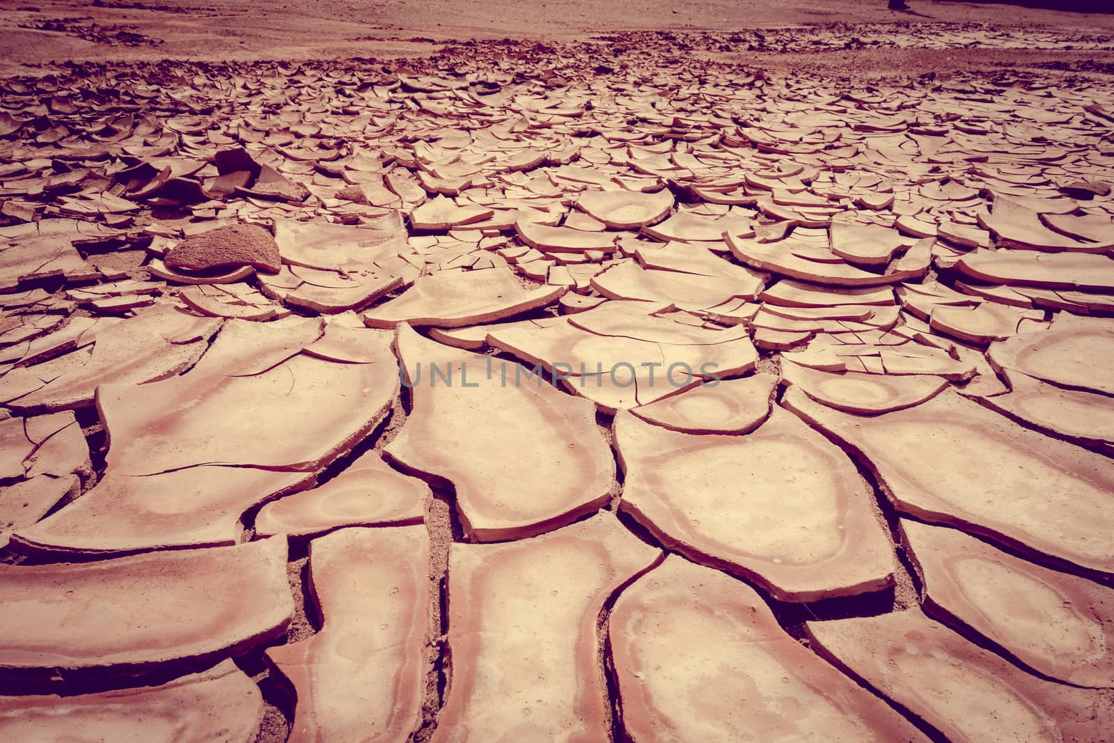 Cracked ground detail in Valle de la muerte desert, San Pedro de Atacama, Chile