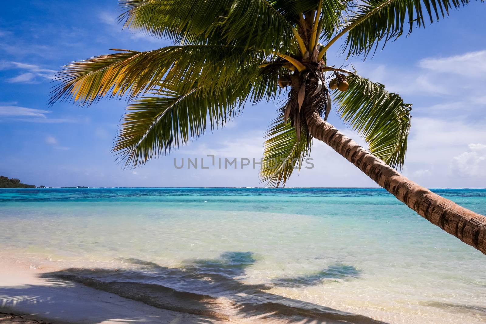 Paradise tropical beach and lagoon in Moorea Island. French Polynesia