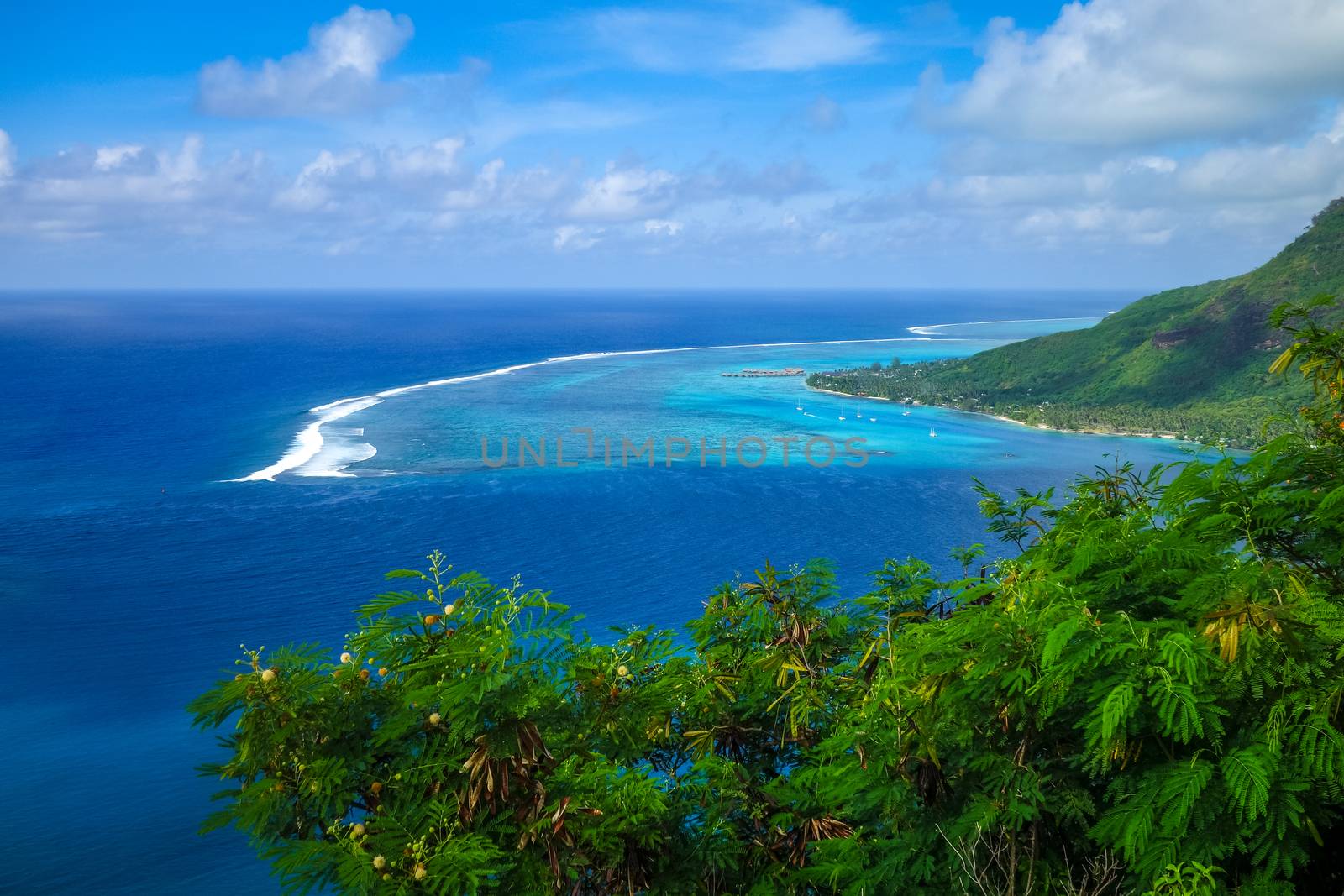 Aerial view of Opunohu Bay and lagoon in Moorea Island by daboost