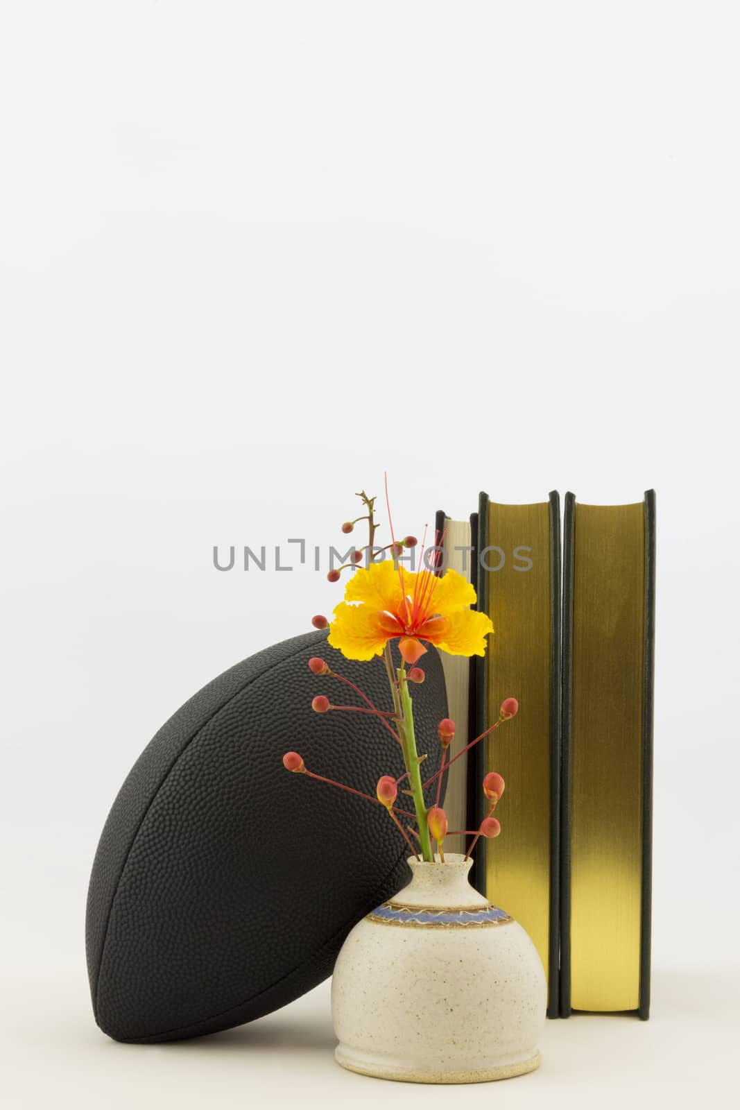Vertical image with copy space of black football with academic books and bird of paradise flower in vase reflects commitment of successful scholar athletes.  Symbols reflect athletics and education balanced with healthy achievement. 