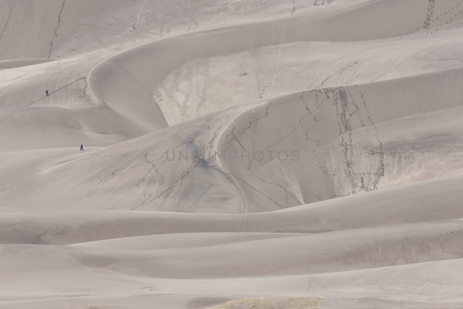 Swirling ridges and patterns of sand create the tourist attraction of the tallest dunes in North America at Great Sand Dunes National Park and Preserve in Colorado's San Luis Valley.  Date is May 27, 2016. 