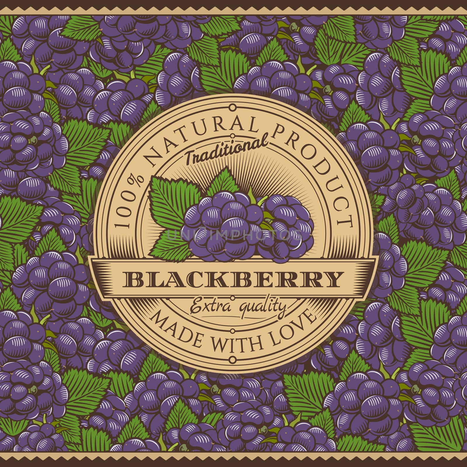 Vintage Blackberry Label On Seamless Pattern by ConceptCafe