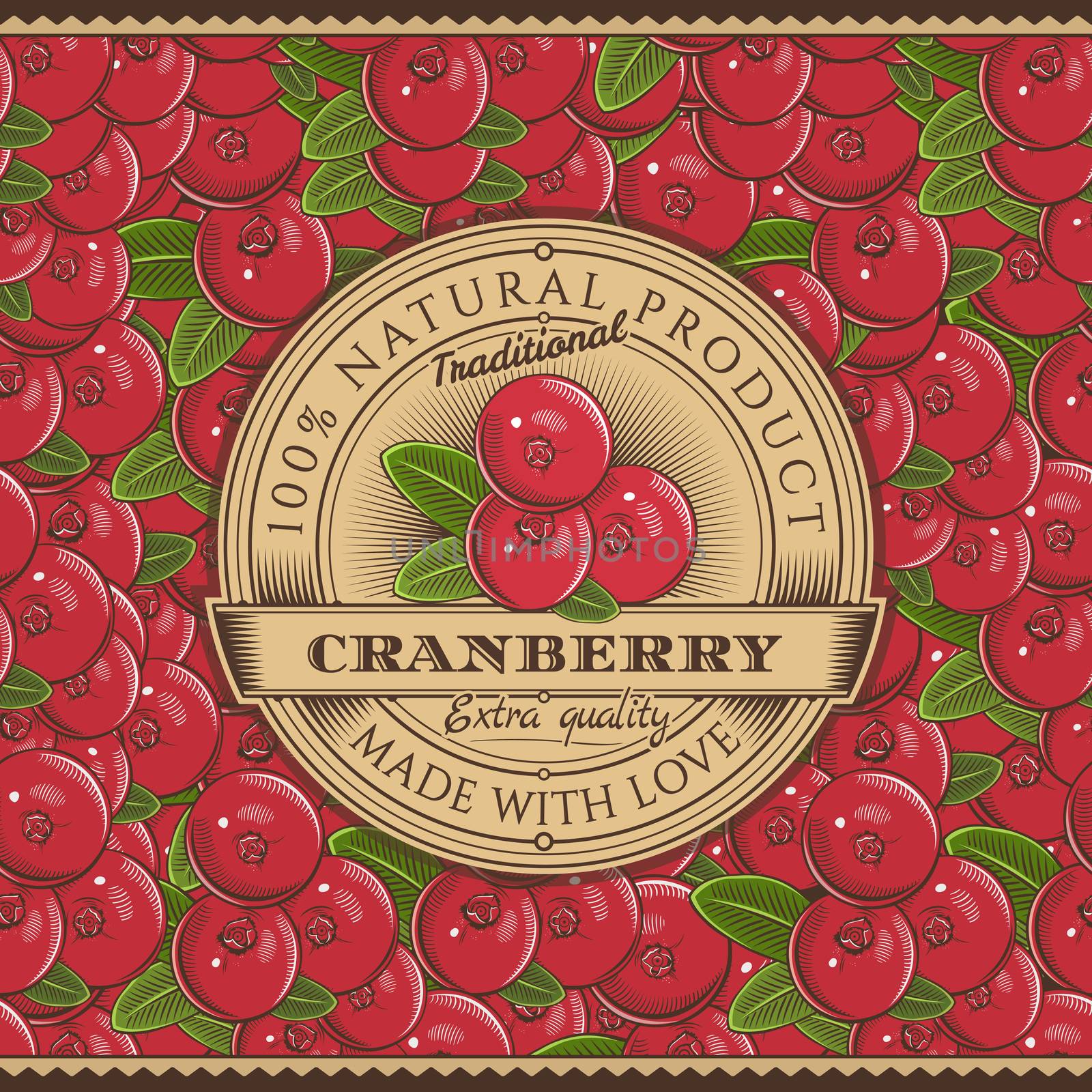 Vintage Cranberry Label On Seamless Pattern by ConceptCafe