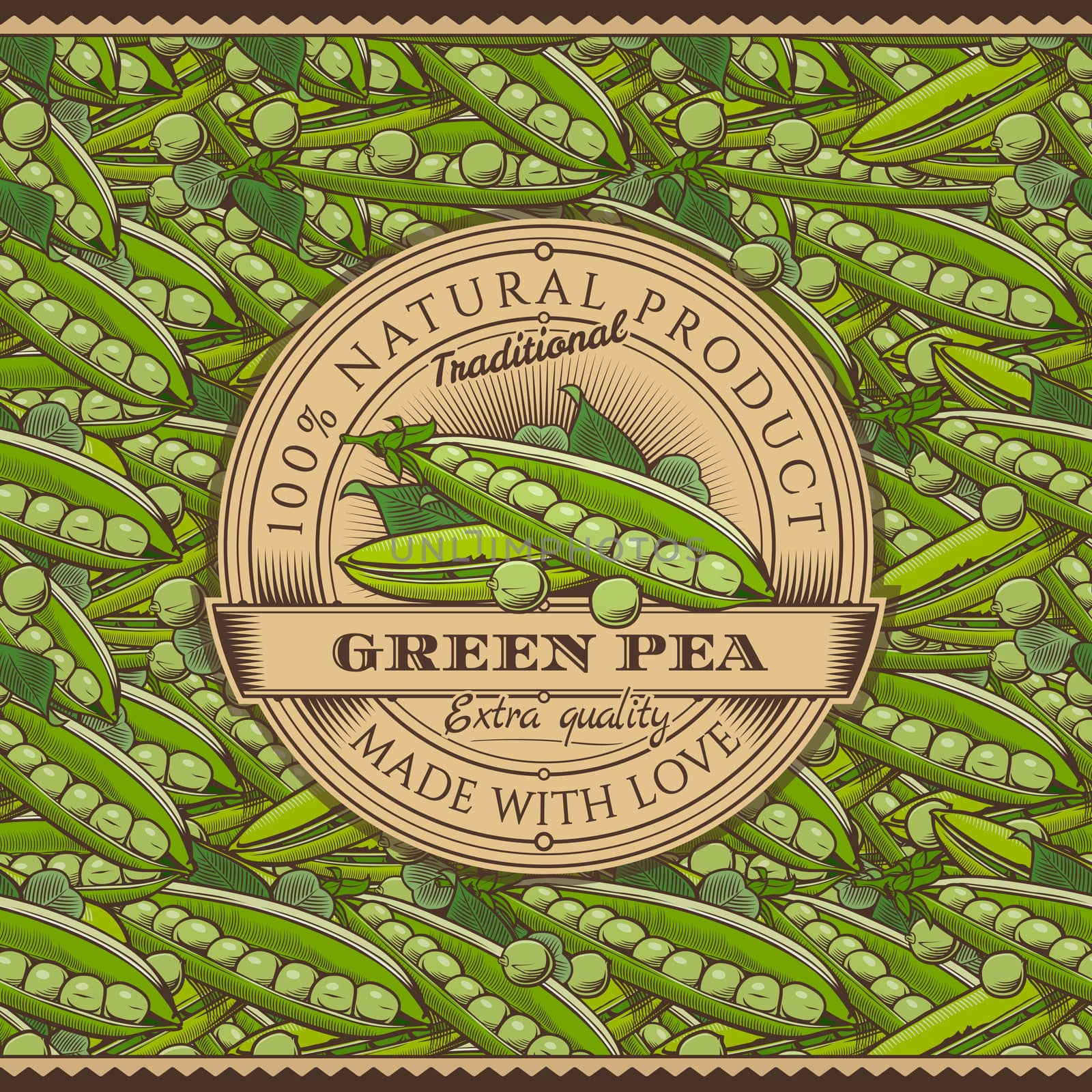 Vintage Green Peas Label On Seamless Pattern by ConceptCafe