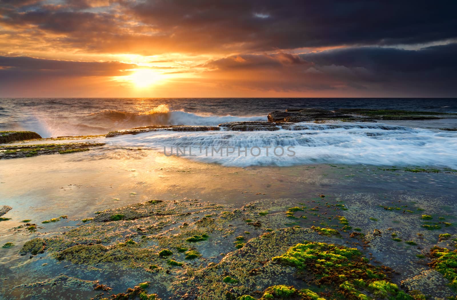 Low tide at north Narrabeen.  Bright green moss on the rocks as waves gently wash in.  Northern beaches, Sydney