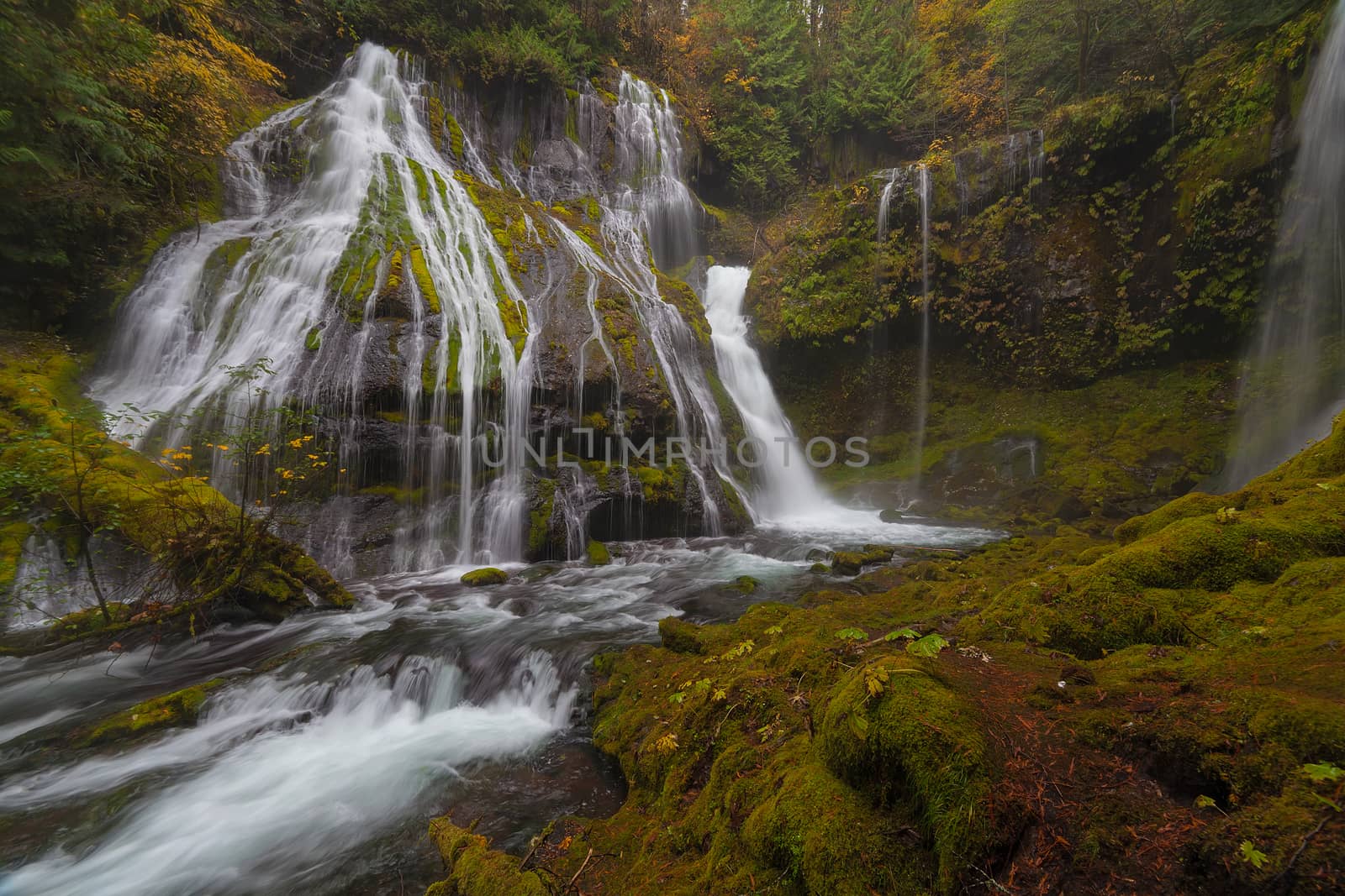 Panther Creek Falls in Autumn by Davidgn