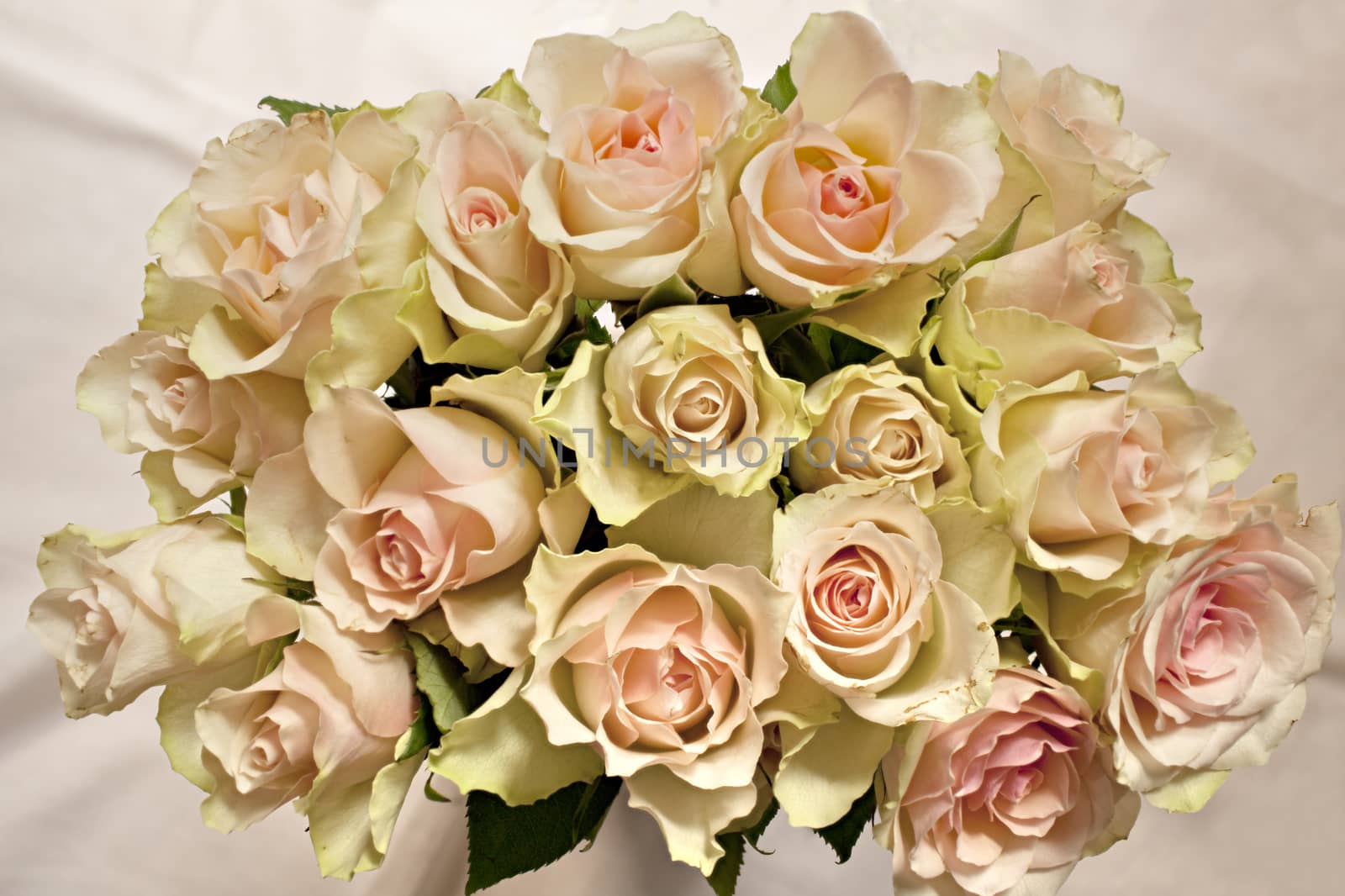 Flowers roses beautiful bouquet  overhead view