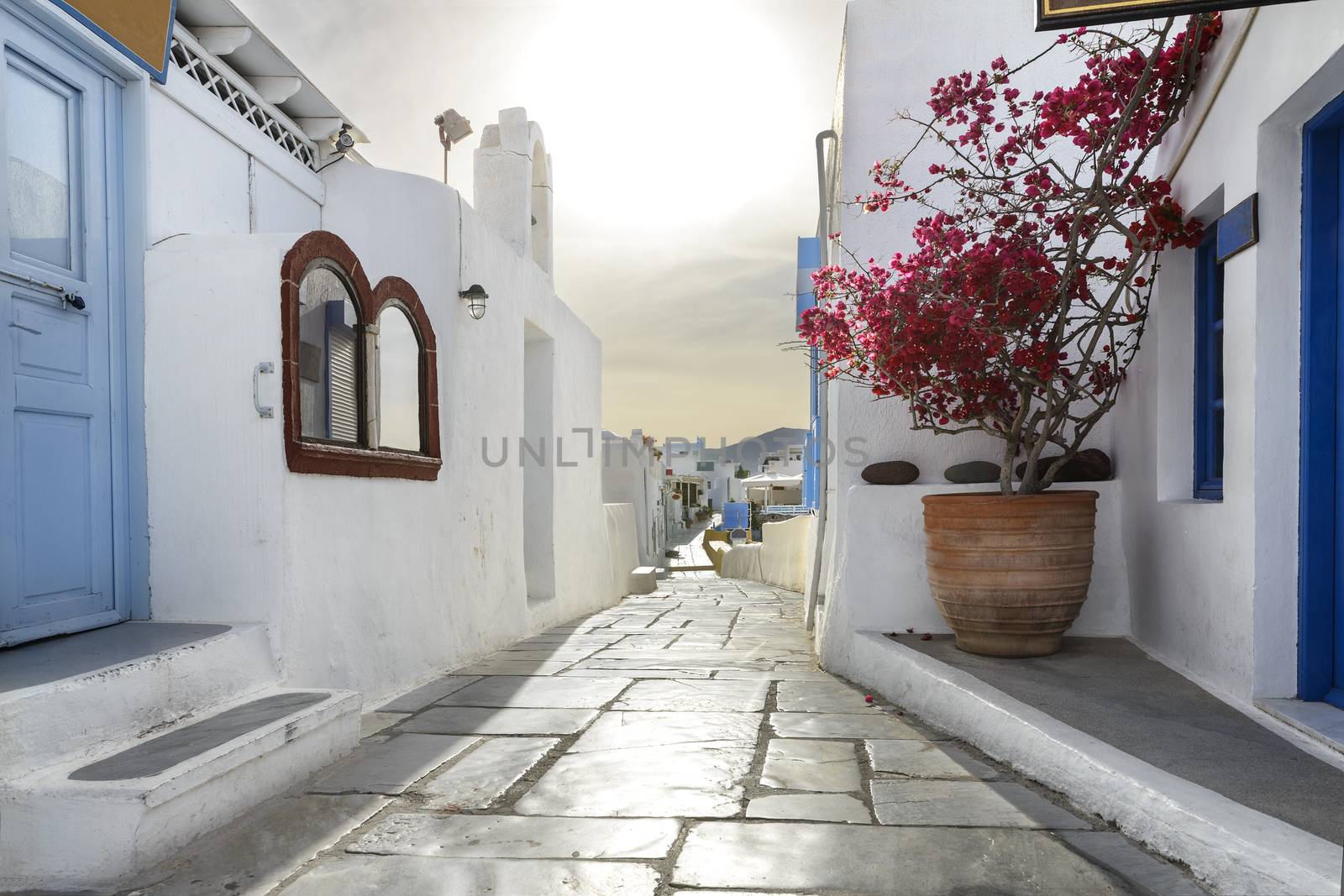 Oia town on Santorini island, Greece. Traditional and famous houses and streets in the city over the Caldera, Aegean sea