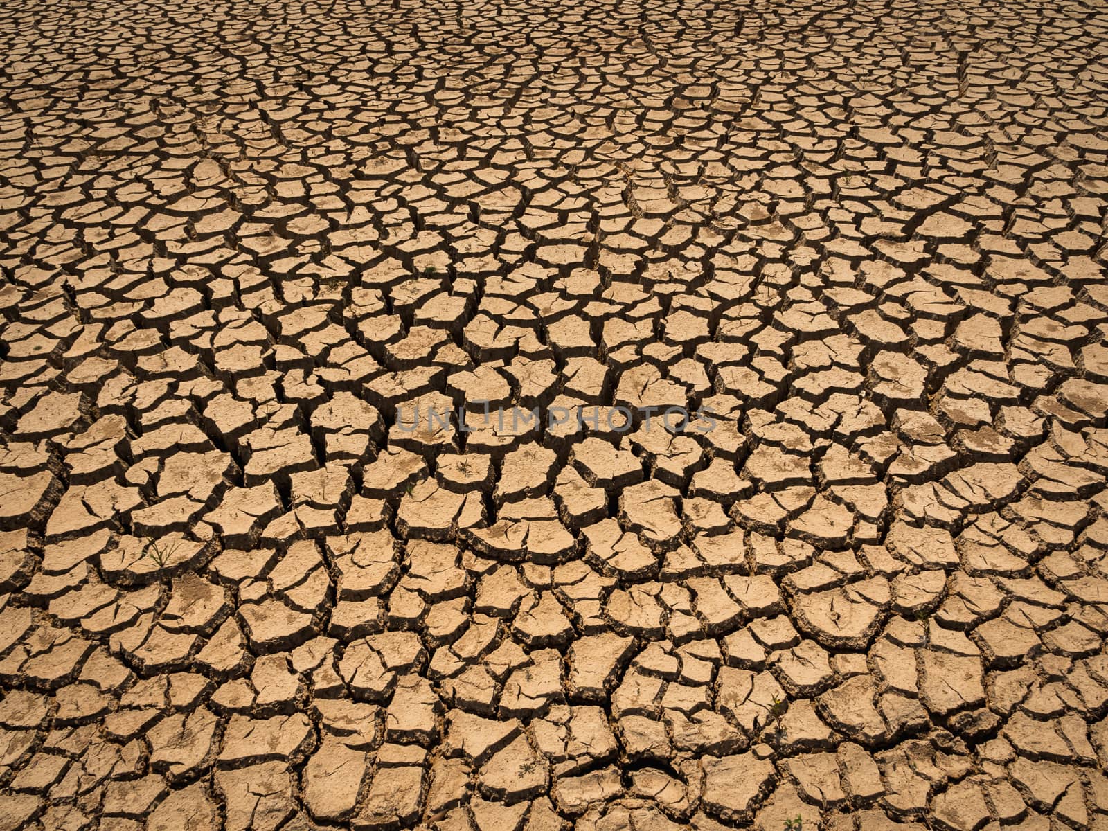 dried and cracked soil in arid season.