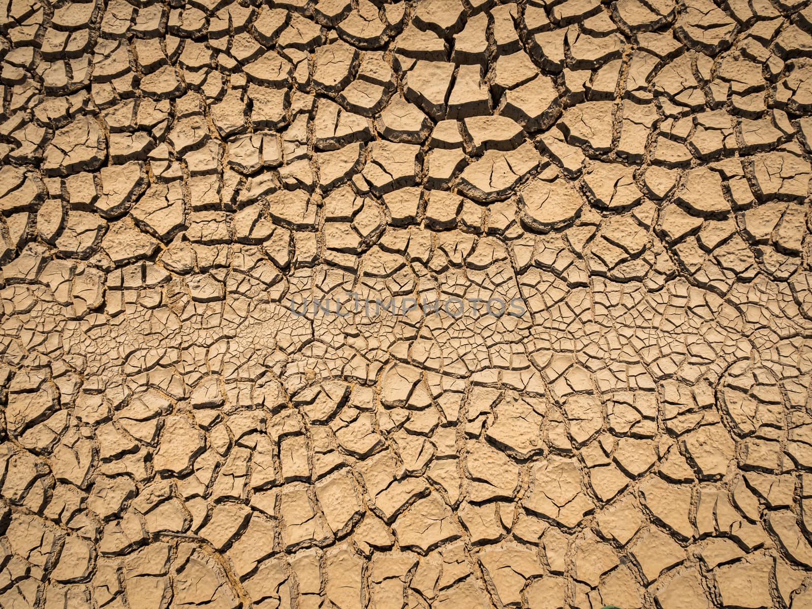 dried and cracked soil in arid season. by lavoview