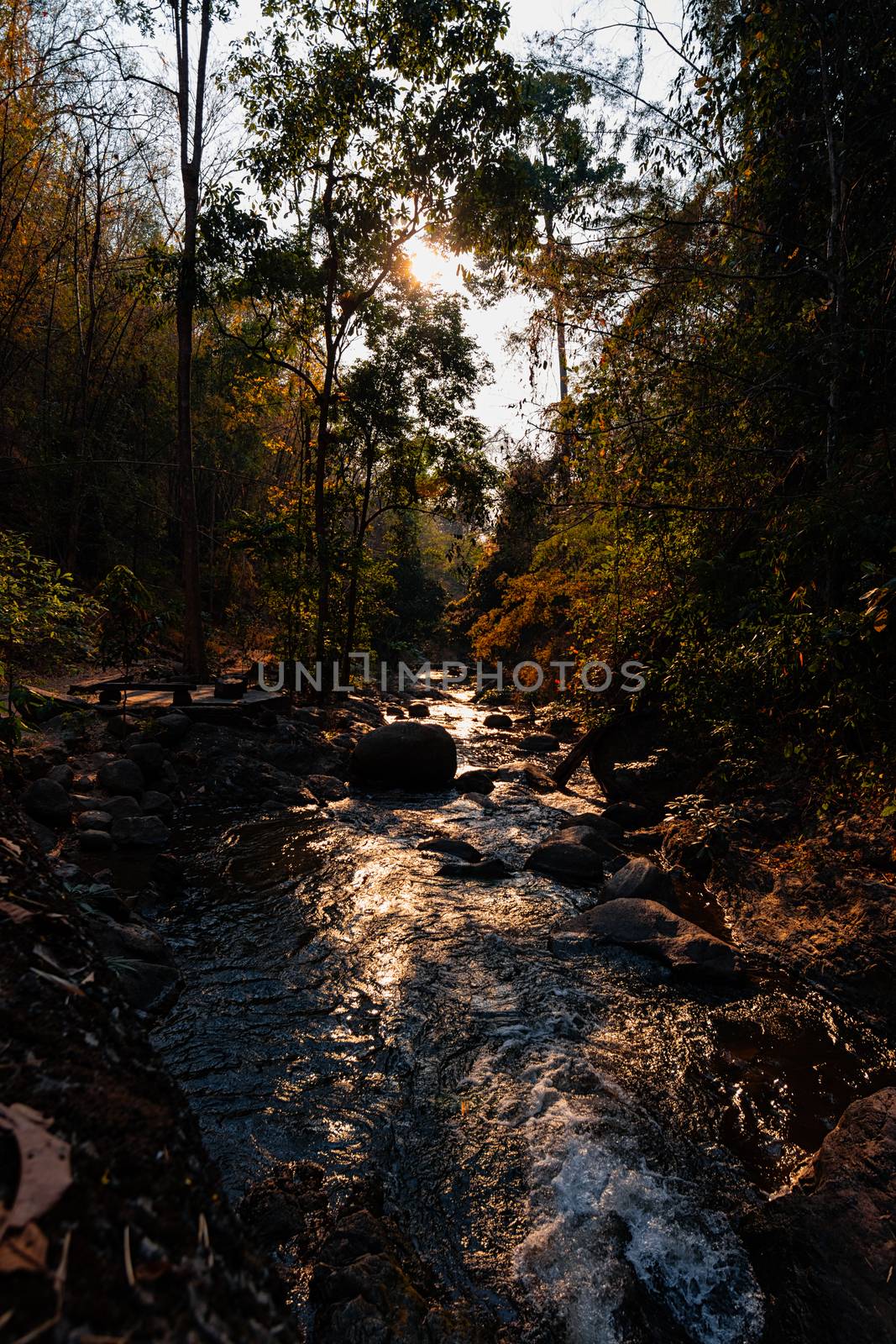 Jungle landscape with flowing turquoise water waterfall at deep  by dfrsce