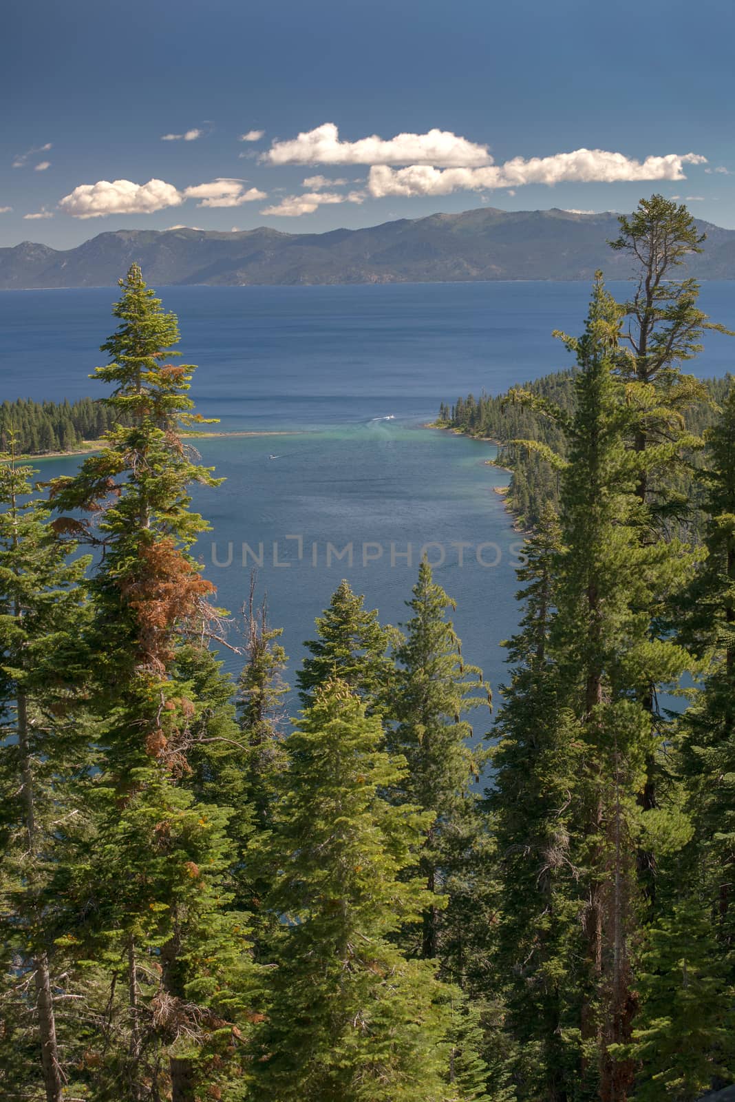 Lake Tahoe through trees with mountains in background