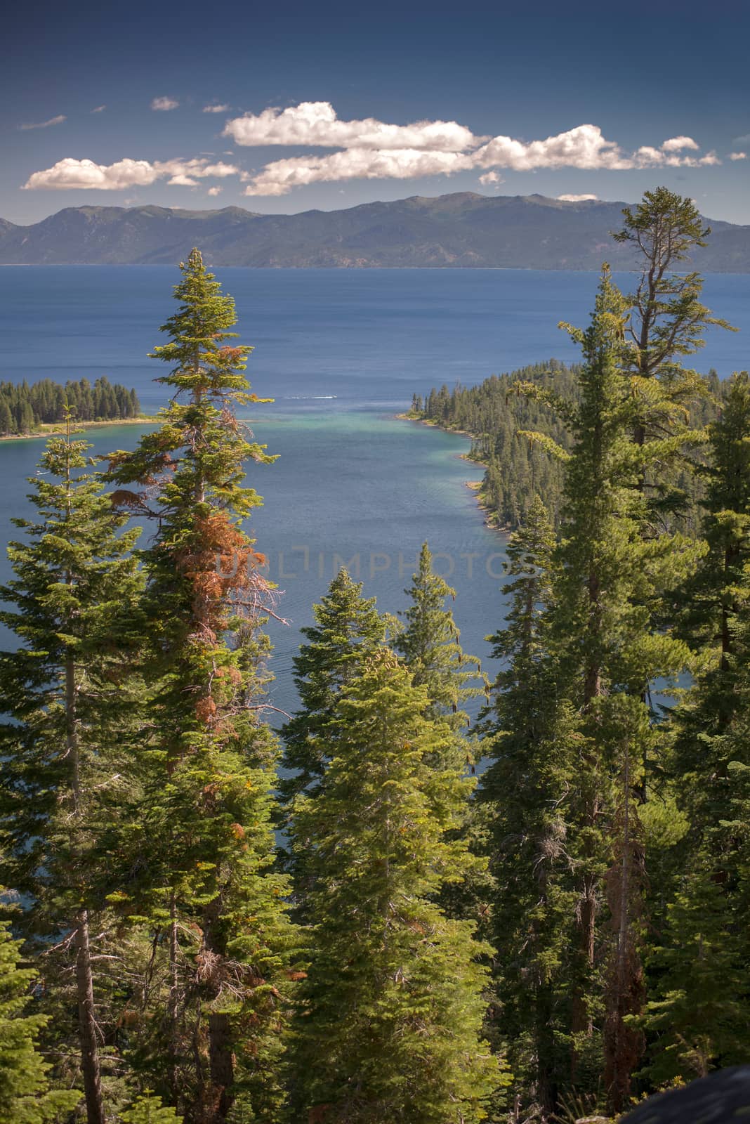 Lake Tahoe through trees with mountains in background