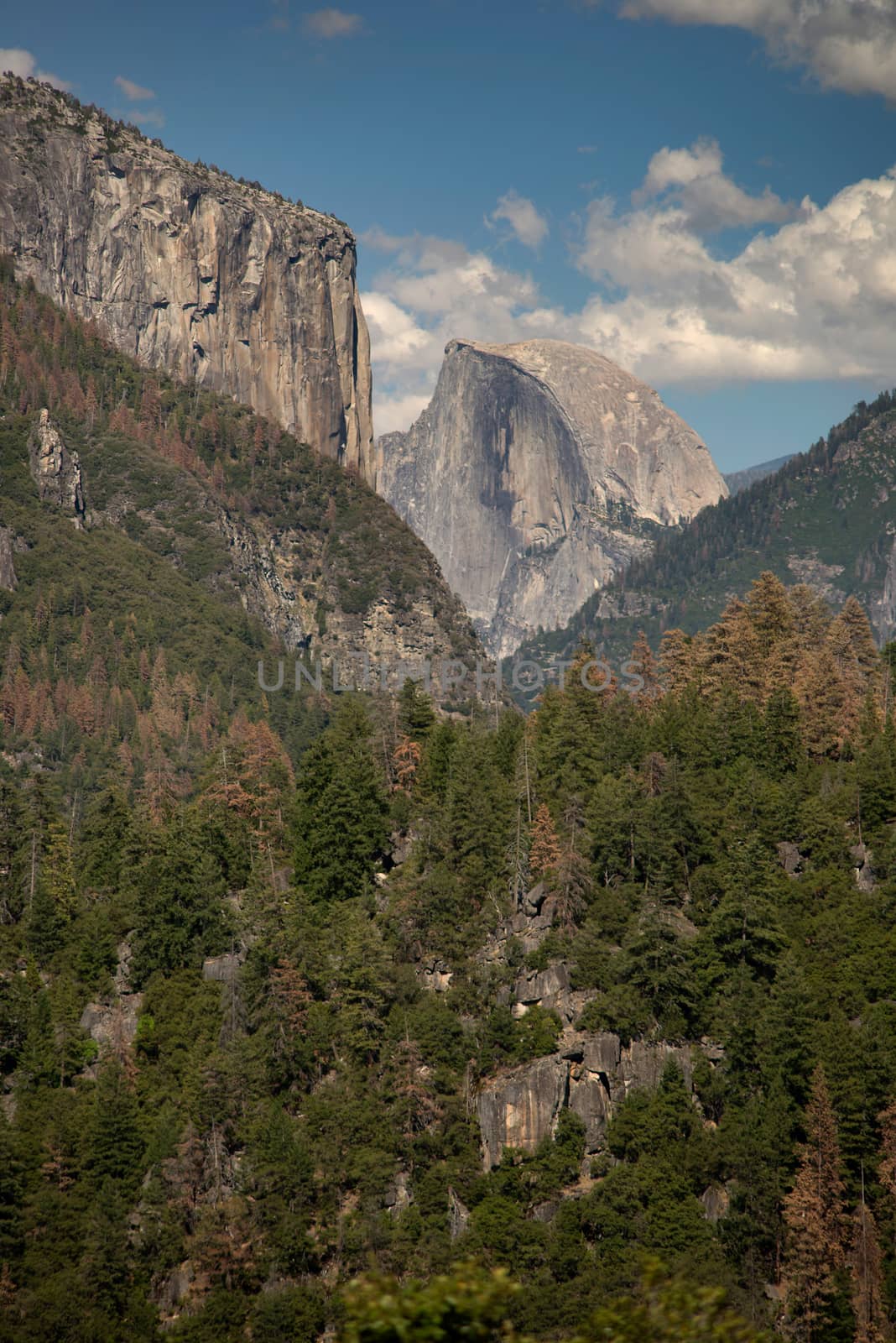 Half Dome and El Capitan in Yosemite National Park