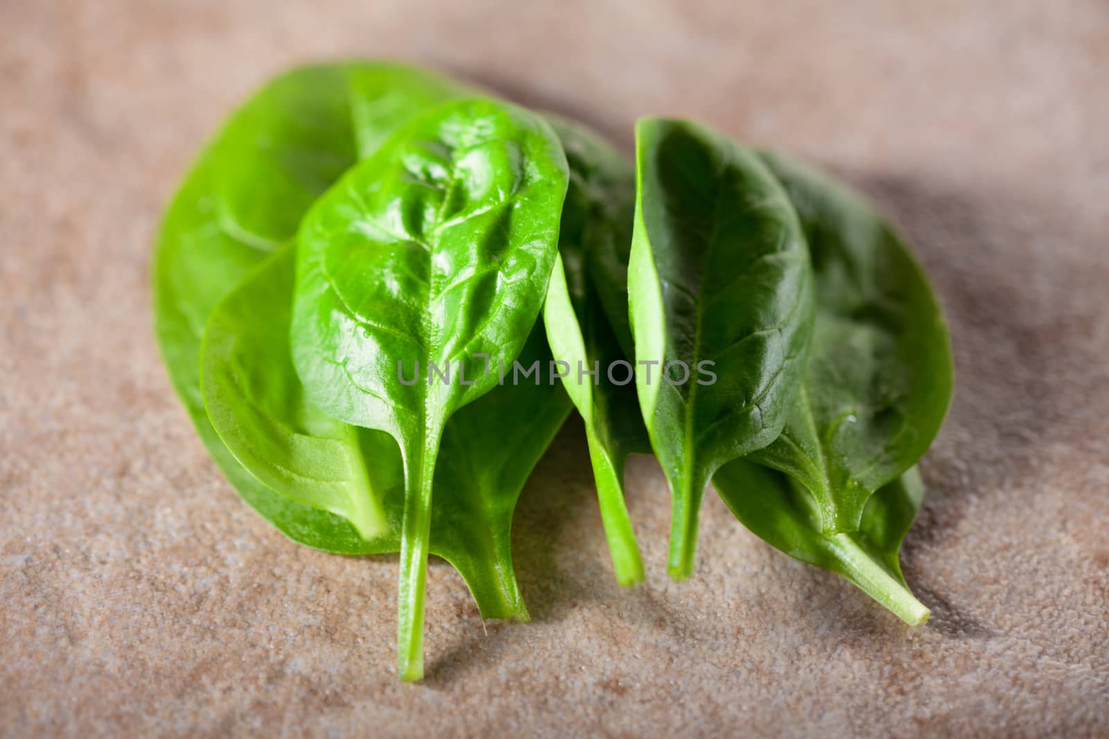 A bunch of Baby spinach on a ceramic surface