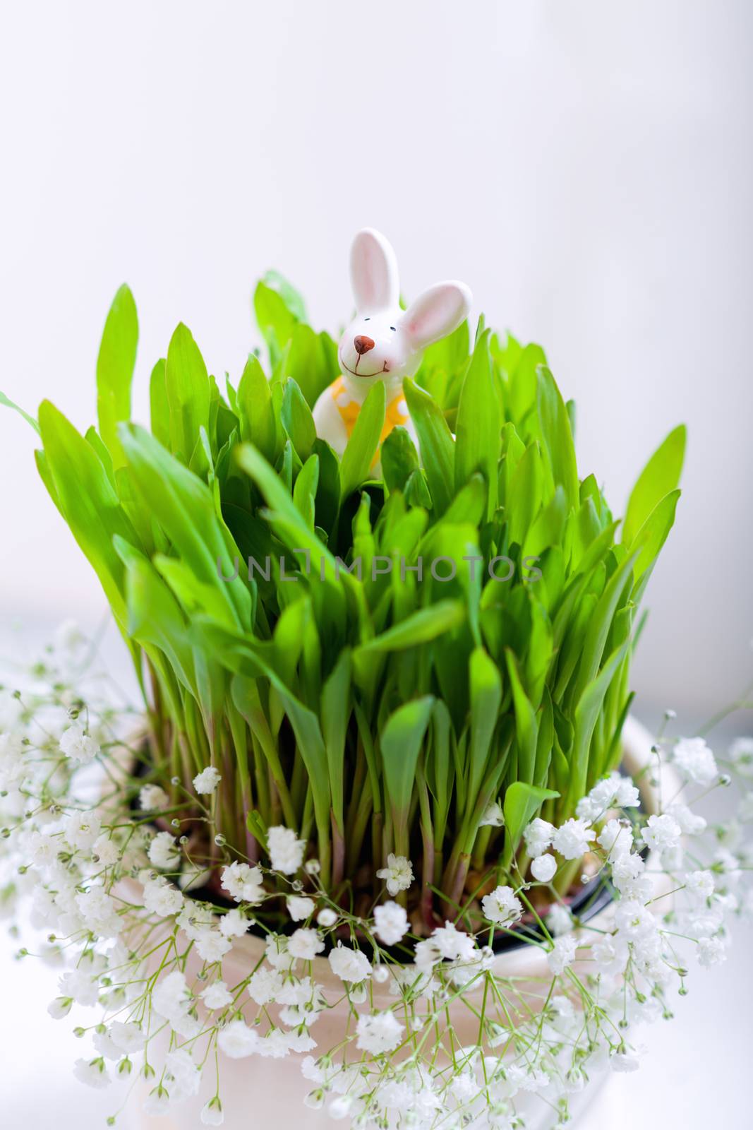 Bunny, eggs and white flowers Easter symbols. by supercat67