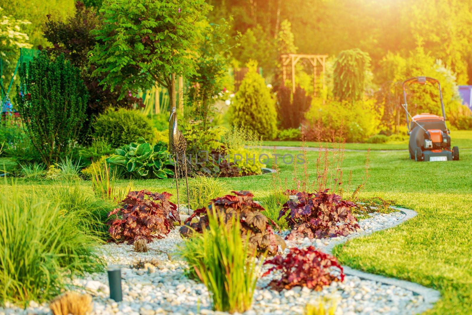Beautiful Backyard Garden During Early Summer Days. Landscaping Theme.
