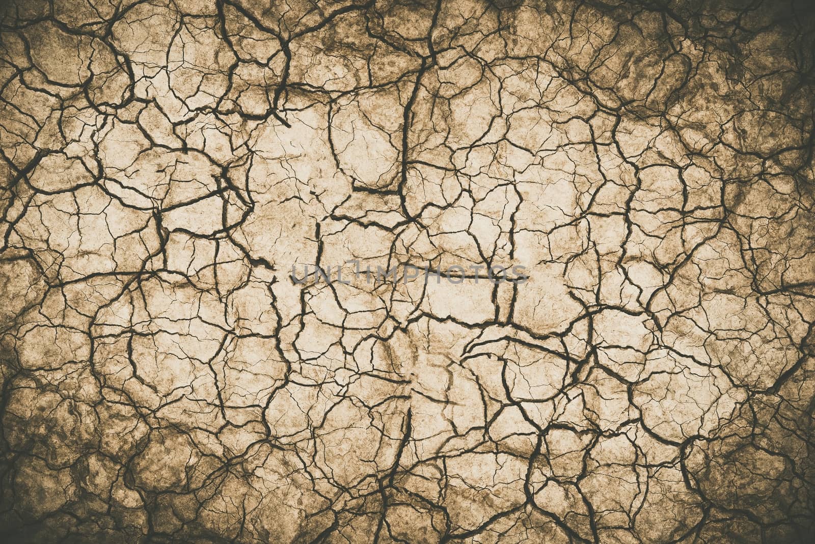Extremely Dry Desert Soil Photo Background.
