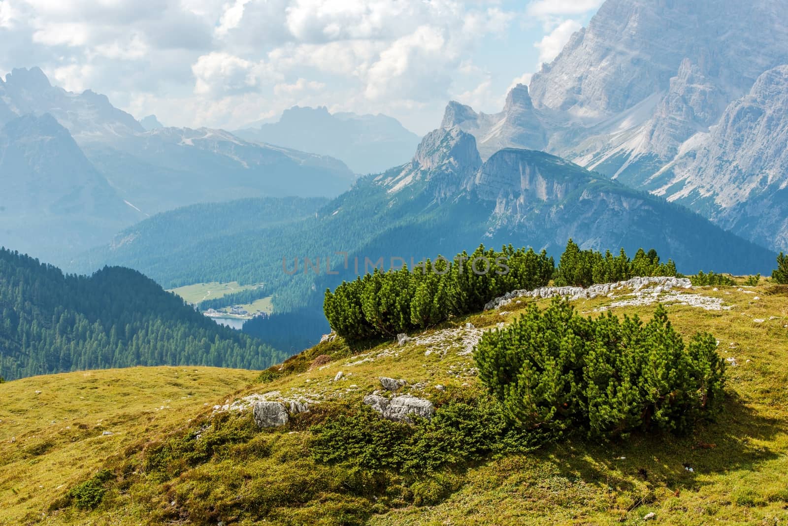 Italian Dolomites Summer Scenery. Missurina, Italy.