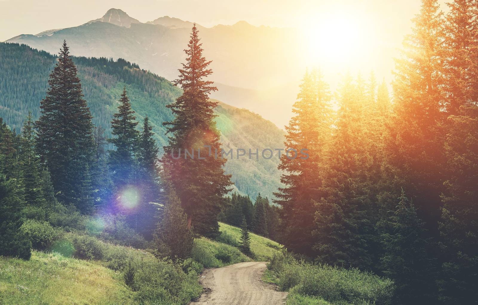 Sunny Mountain Countryside Road. Gravel Road in the Scenic Forest and Mountain Landscape.