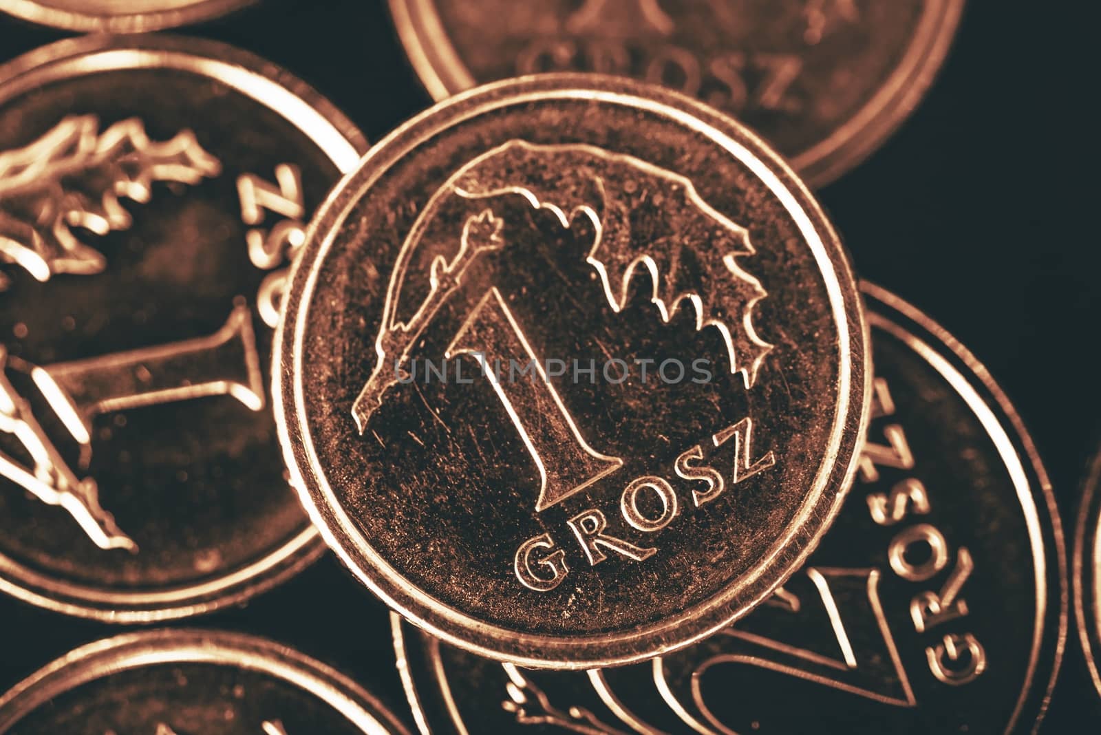 Polish Single Grosz Coin. Polish Currency Concept Photo.