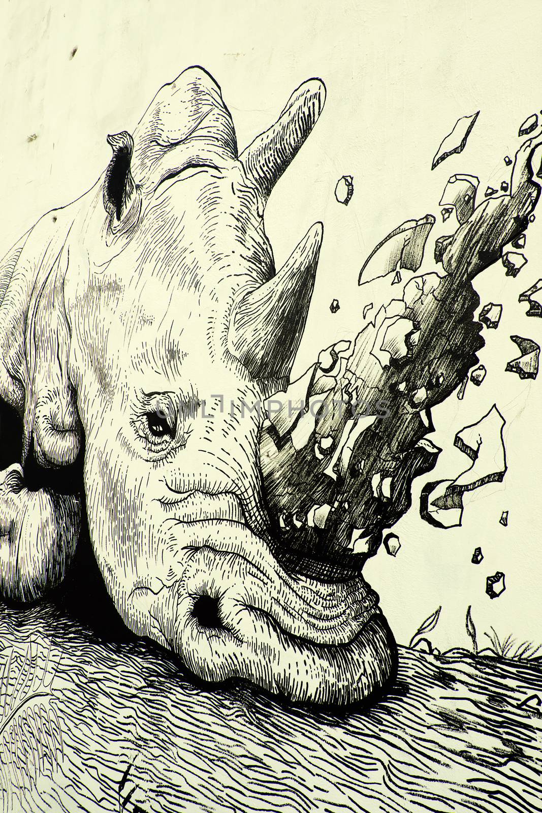 Rhino by graffiti art, Rhinoceros painting by xuanhuongho