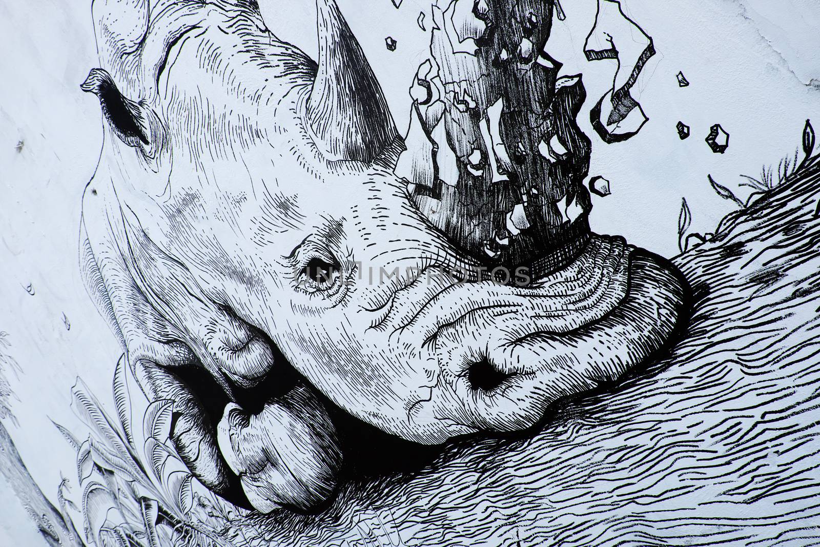 Rhino by graffiti art, Rhinoceros painting by xuanhuongho