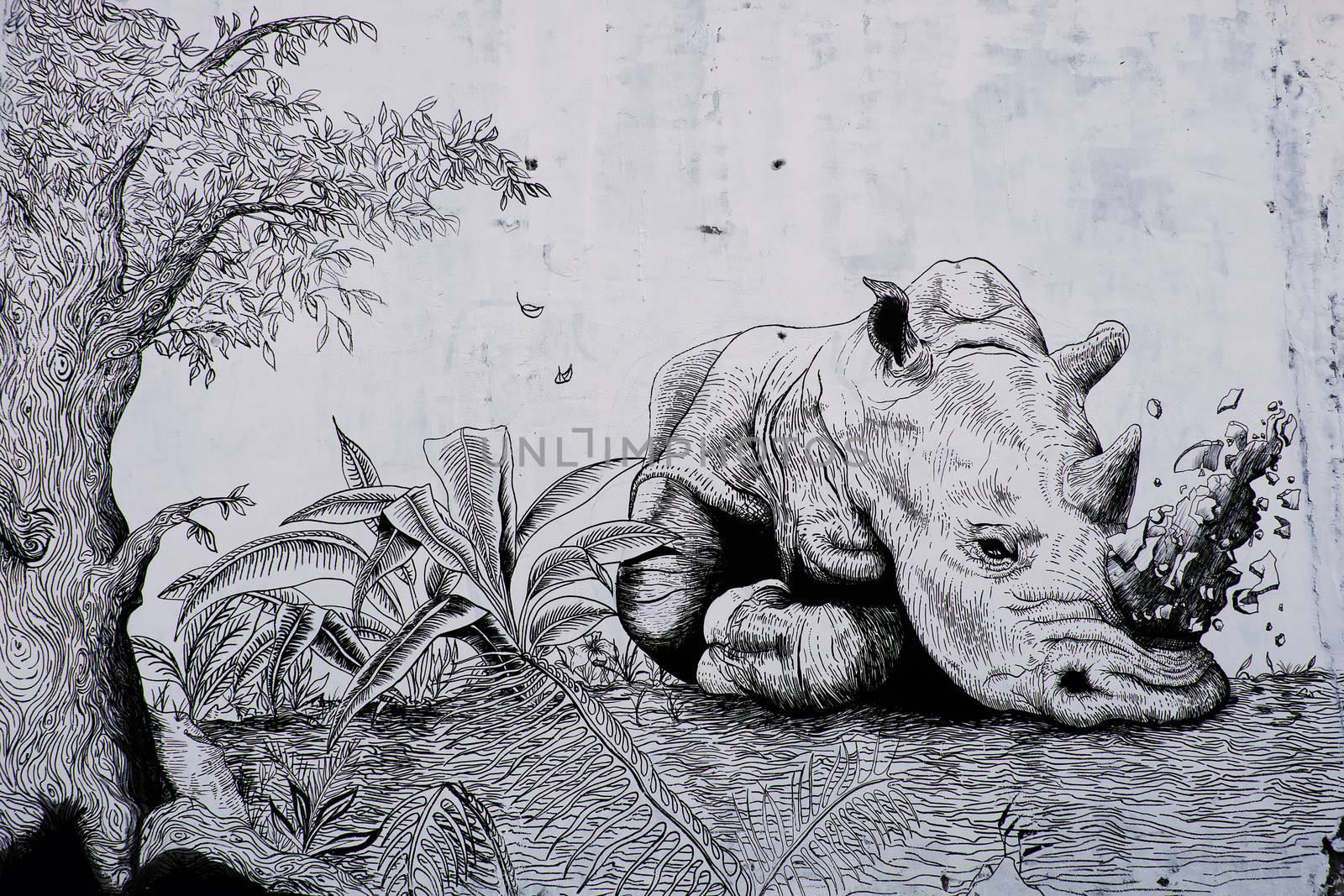 Rhino by graffiti art, Rhinoceros painting by xuanhuongho