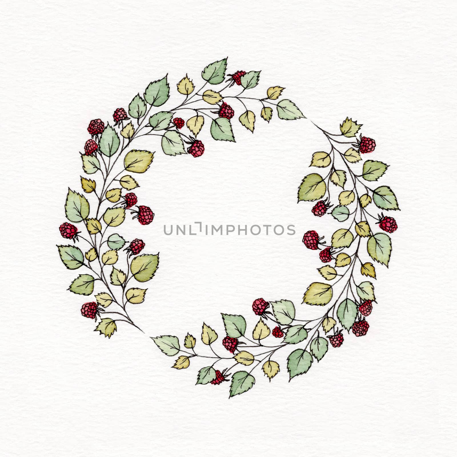 Watercolor wreath with leaves and berries of raspberries by JaneMaier