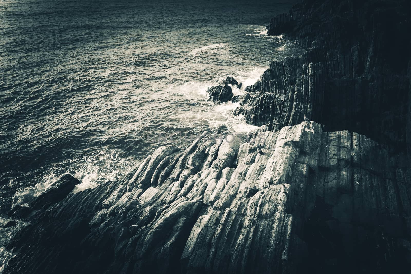 Rocky Mediterranean Sea Shore in the Italian Liguria Region near La Spezia. Mediterranean Landscape and Geology. Dark Bluish Color Grading.

