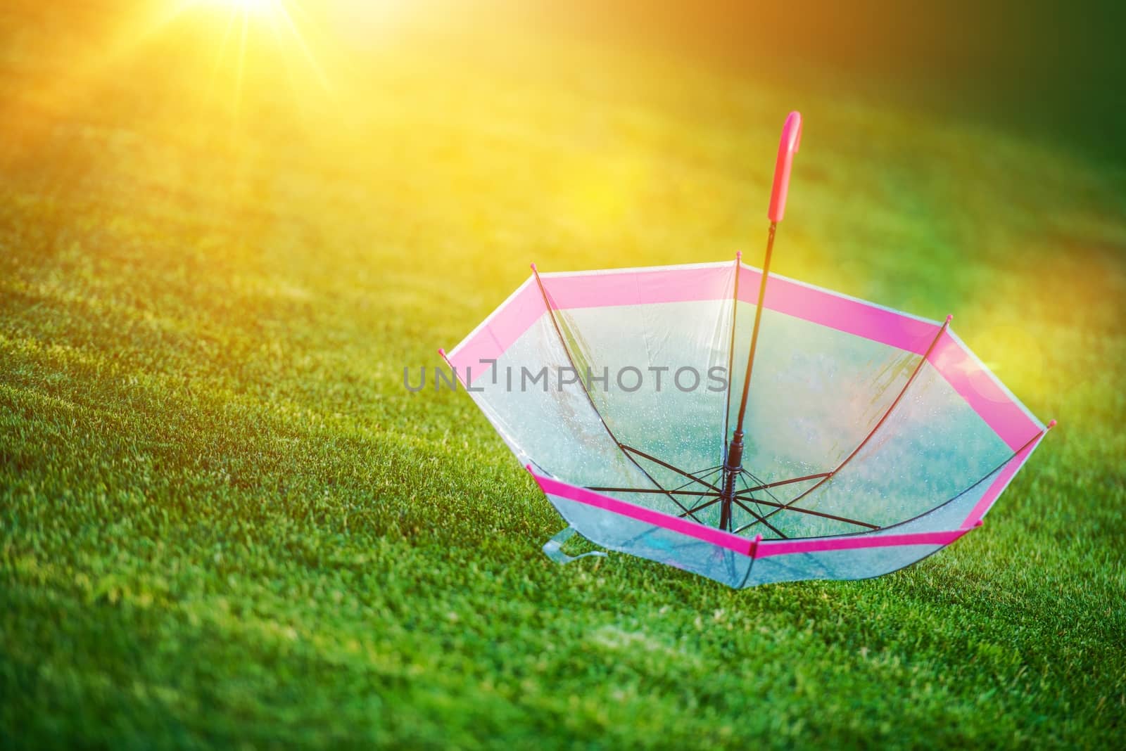 End of Rainy Weather. Left Pinky Umbrella on the Grassy Field. Sunshine on the Horizon.